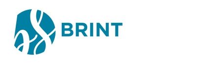 Brint Store 